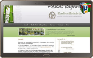radiesthesiste info 300x188 Classement Seo de Radiesthésiste Info