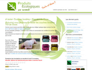 produits ecologiques3 300x229 Création du blog Produits Ecologiques sur Wordpress