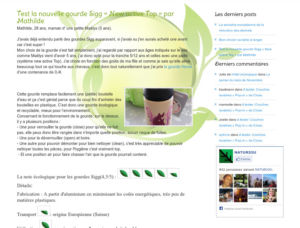 produits ecologiques4 300x228 Création du blog Produits Ecologiques sur Wordpress