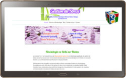 Classement Google de Gestion de stress